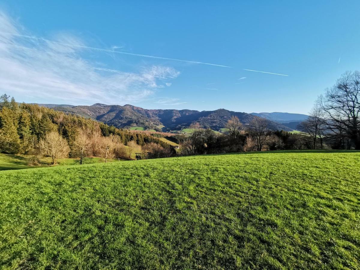 Modernes Appartement Schwarzwald Naehe Freiburg Winden im Elztal Kültér fotó