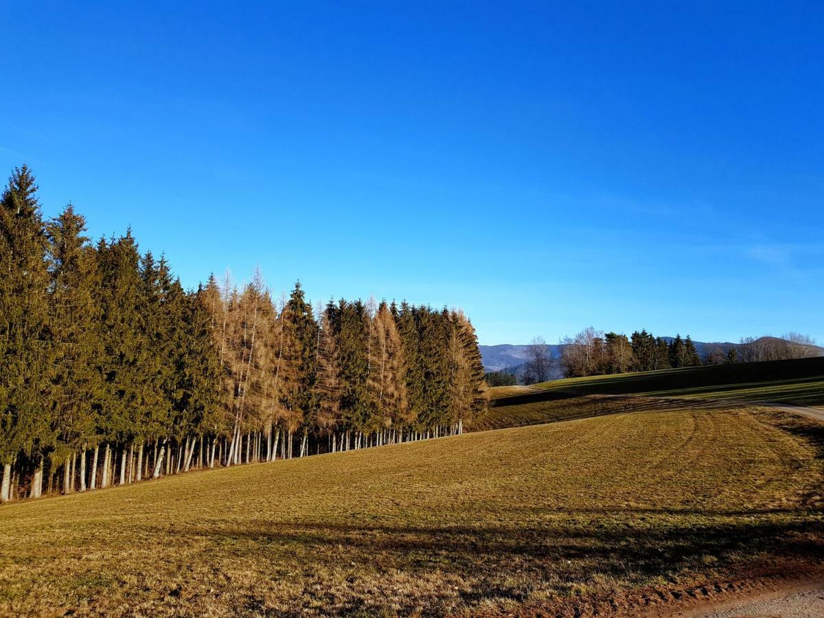 Modernes Appartement Schwarzwald Naehe Freiburg Winden im Elztal Kültér fotó