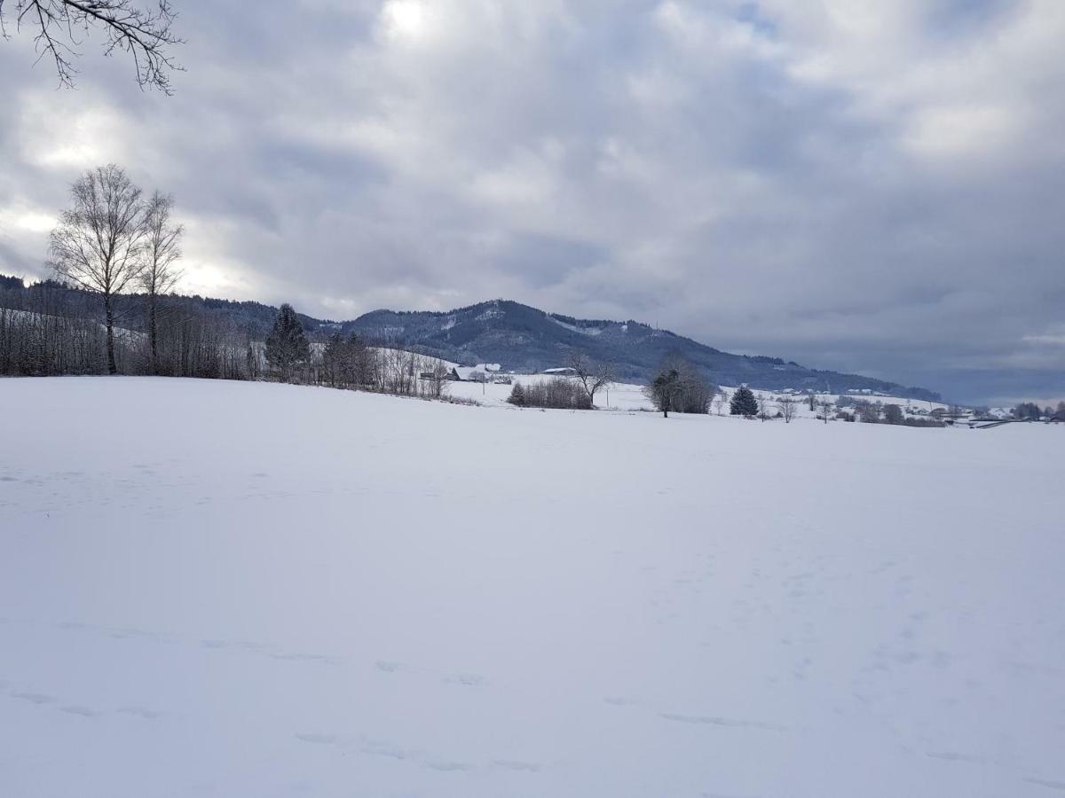 Modernes Appartement Schwarzwald Naehe Freiburg Winden im Elztal Kültér fotó