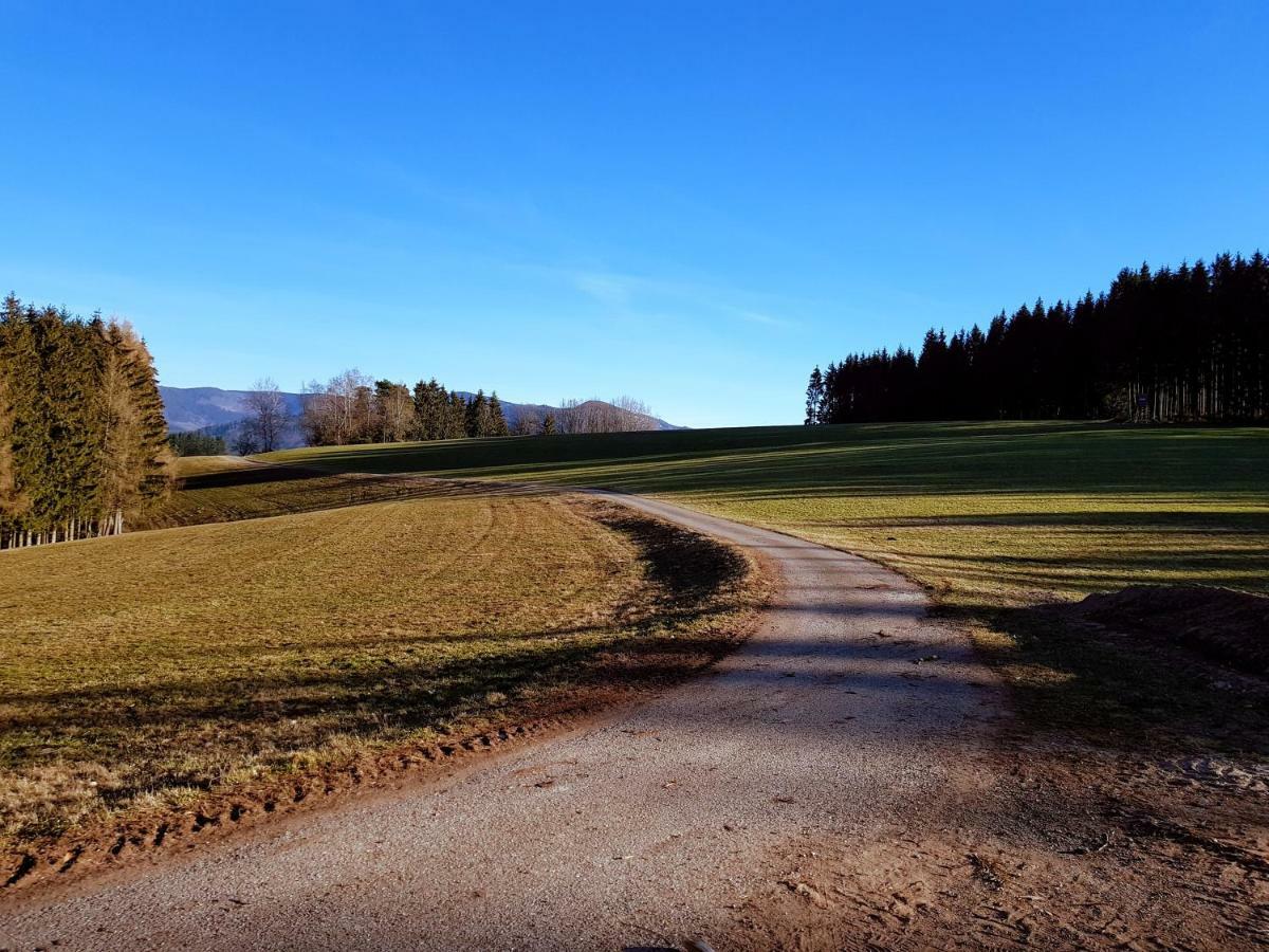 Modernes Appartement Schwarzwald Naehe Freiburg Winden im Elztal Kültér fotó