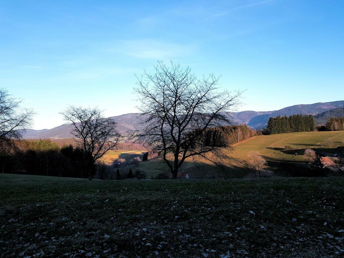 Modernes Appartement Schwarzwald Naehe Freiburg Winden im Elztal Kültér fotó