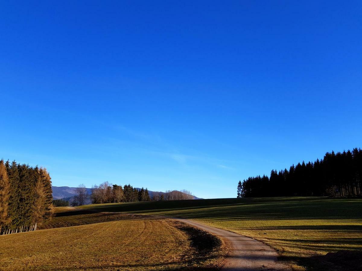 Modernes Appartement Schwarzwald Naehe Freiburg Winden im Elztal Kültér fotó